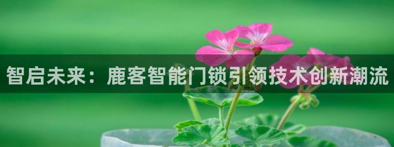 jdb电子官网 ly79,cn：智启未来：鹿客智能门锁引领技