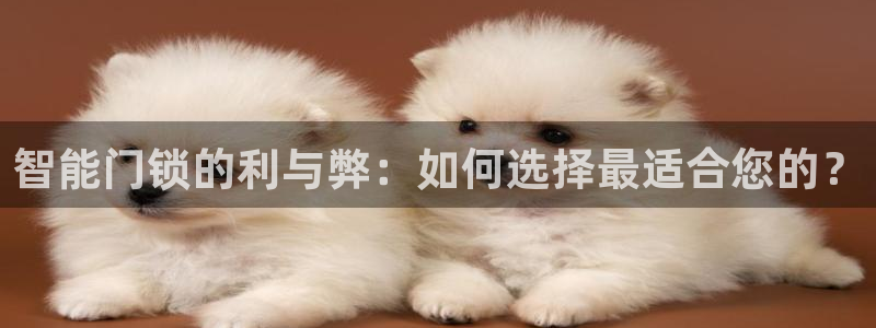 jdb电子富豪哥爆奖视频:智能门锁的利与弊:如何选择最适合您