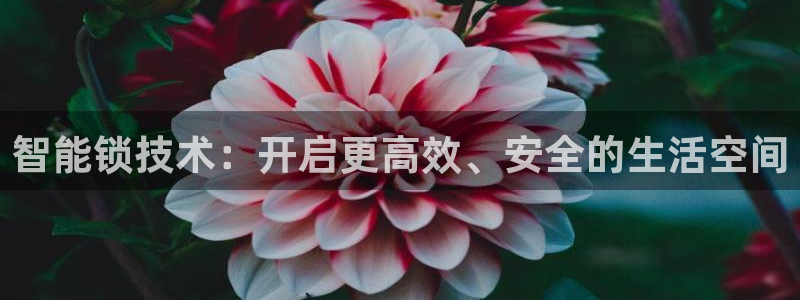 JDB电子猎龙高手官方网站官方网站是多少：智能锁技术：开启更