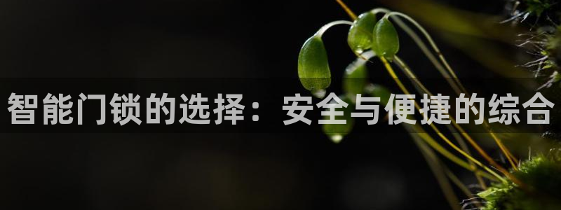 jdbgame:智能门锁的选择:安全与便捷的综合