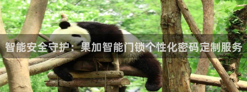 jdb飞鸟派对大奖视频:智能安全守护:果加智能门锁个性化密码