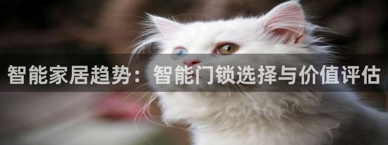 jdb电子游戏辅助软件：智能家居趋势：智能门锁选择与价值评估