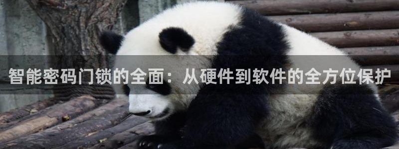 jdb电子游戏修改器:智能密码门锁的全面:从硬件到软件的全方