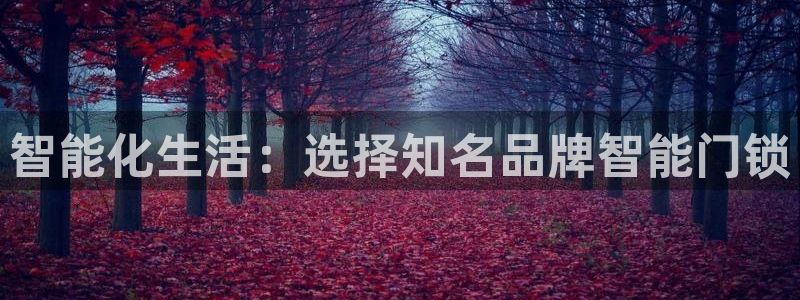 jdb大奖视频:智能化生活:选择知名品牌智能门锁