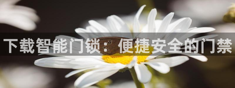 JDB电子游戏哪个容易赢:下载智能门锁:便捷安全的门禁