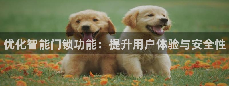 jdb试玩2000金币网址是多少:优化智能门锁功能:提升用户
