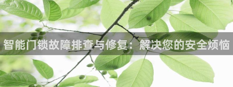 富豪哥游戏jdb:智能门锁故障排查与修复:解决您的安全烦恼