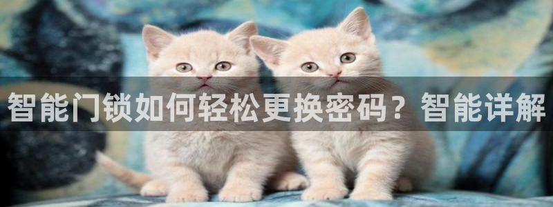 jdb_official_v1.9.0.apk：智能门锁如何