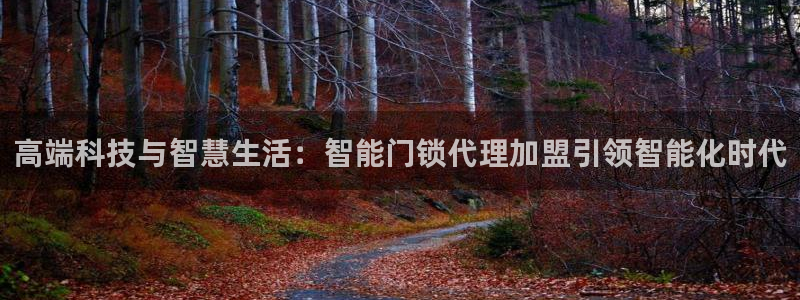 jdb的jp彩金游戏视频:高端科技与智慧生活:智能门锁代理加