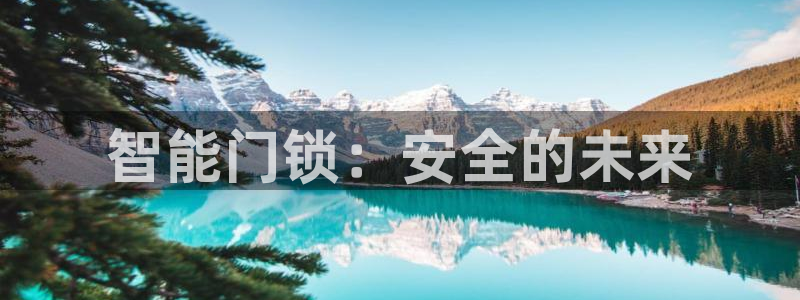 jdbc注册与登录：智能门锁：安全的未来