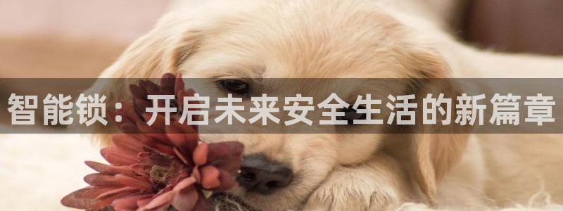 jdb电子平台台湾黑熊：智能锁：开启未来安全生活的新篇章