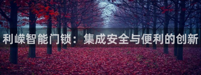 jdbc2.0.apk：利嵘智能门锁：集成安全与便利的创新