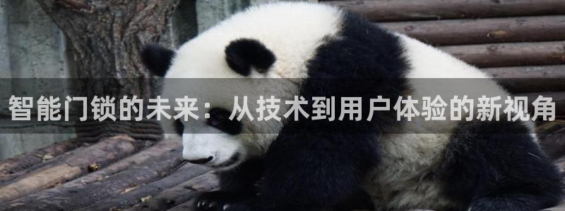 jdb电子游戏大奖图片:智能门锁的未来:从技术到用户体验的新