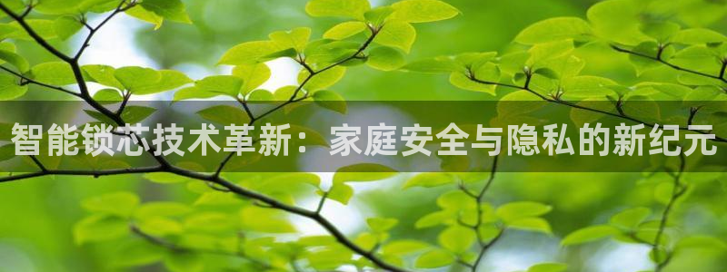 jdb电子游戏作解码:智能锁芯技术革新:家庭安全与隐私的新纪