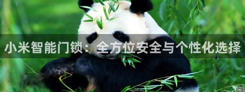 jdb电子平台98db,in:小米智能门锁:全方位安全与个性
