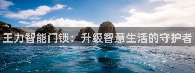 jdb游戏规律:王力智能门锁:升级智慧生活的守护者