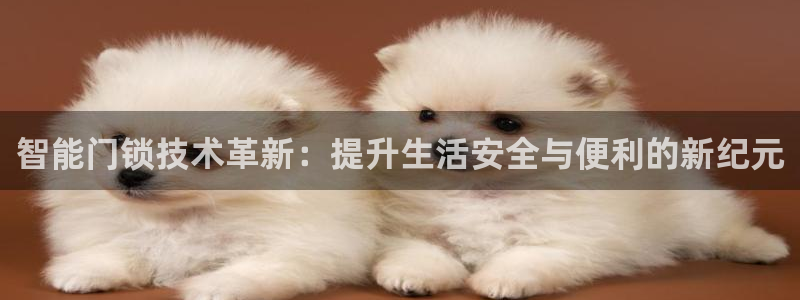jdb电子游戏技巧：智能门锁技术革新：提升生活安全与便利的新