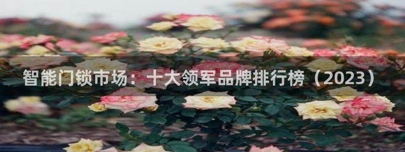 jdb游戏官网：智能门锁市场：十大领军品牌排行榜（2023）