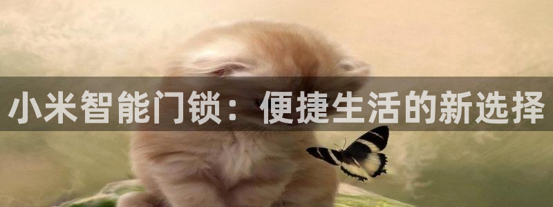 jdb 电子：小米智能门锁：便捷生活的新选择