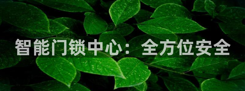 JDB游戏有购买免费旋转吗：智能门锁中心：全方位安全