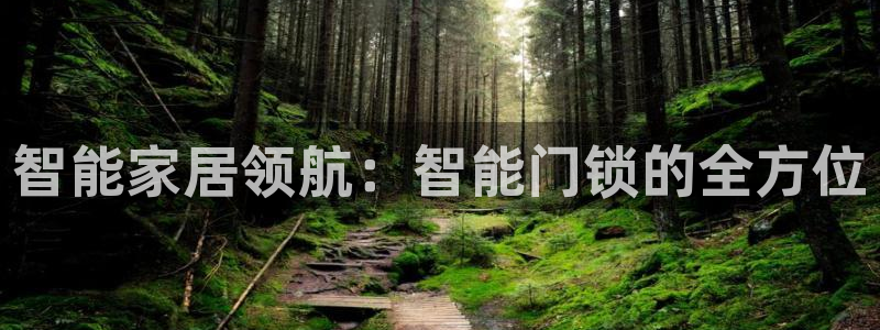 jdb电子变脸：智能家居领航：智能门锁的全方位