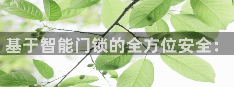 jdb富豪哥技巧：基于智能门锁的全方位安全：