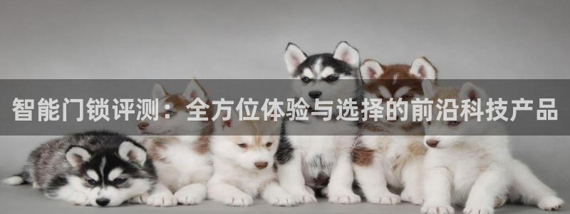 JDB电子游戏试玩：智能门锁评测：全方位体验与选择的前沿科技