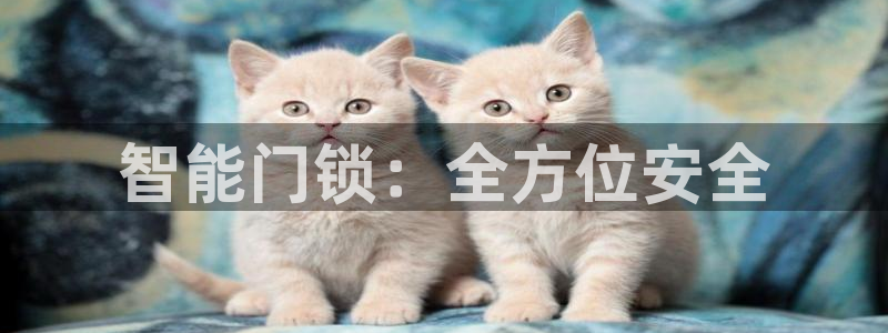 jdb电子游戏注册：智能门锁：全方位安全