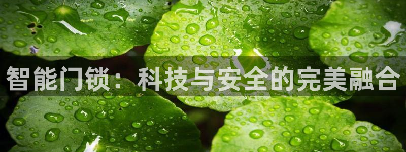 jdb电子变脸无限金币：智能门锁：科技与安全的完美融合