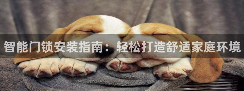 jdb电子采矿宝贝：智能门锁安装指南：轻松打造舒适家庭环境