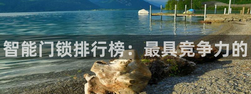 jdb电子游戏哪个容易赢：智能门锁排行榜：最具竞争力的