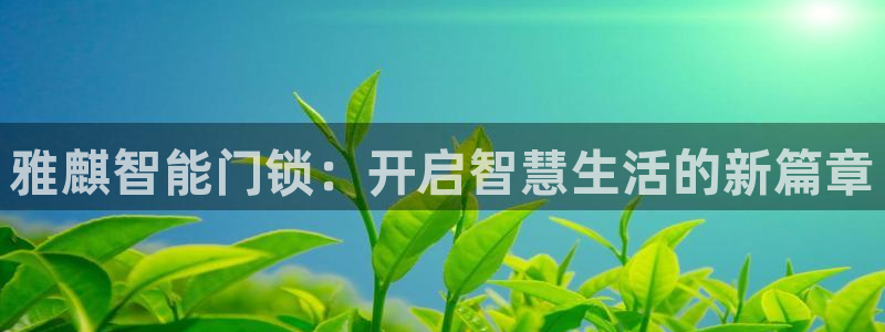 jdb_official_v1.9.2：雅麒智能门锁：开启智