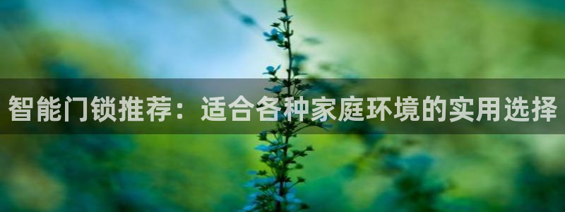 jdb电子采矿宝贝：智能门锁推荐：适合各种家庭环境的实用选择