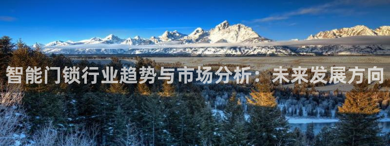 jdb电子试玩app下载：智能门锁行业趋势与市场分析：未来发