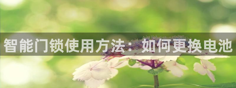 jdb电子财神捕鱼是连锁的吗：智能门锁使用方法：如何更换电池