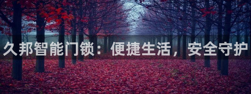 jdb电子夺宝官网：久邦智能门锁：便捷生活，安全守护