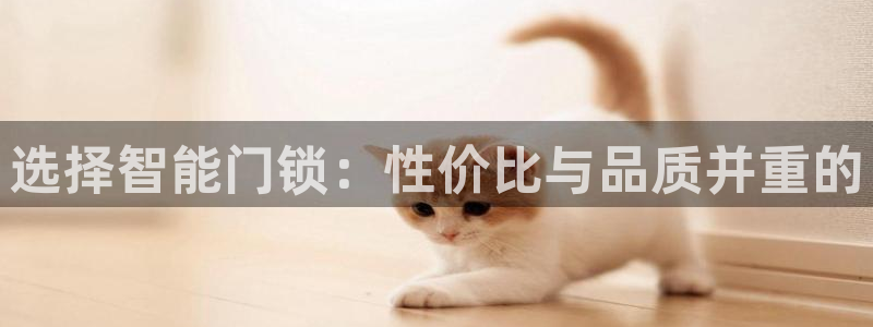 JDB电子埃及夺宝：选择智能门锁：性价比与品质并重的