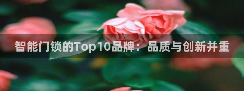 JDB游戏论坛：智能门锁的Top10品牌：品质与创新并重