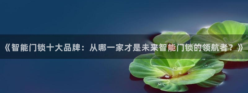 jdb电子可以操控的吗：《智能门锁十大品牌：从哪一家才是未来