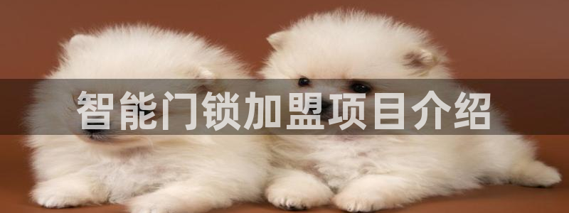 jdb电子放水规律：智能门锁加盟项目介绍