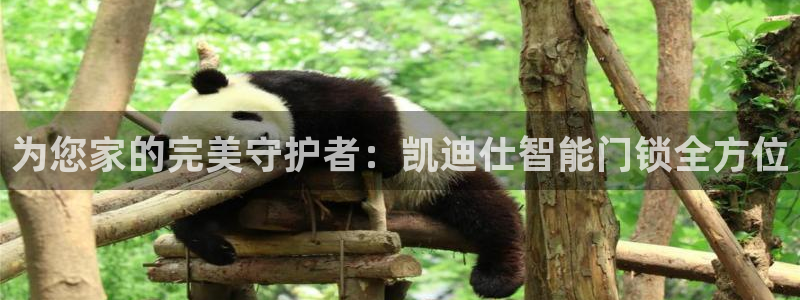 jdb游戏变脸：为您家的完美守护者：凯迪仕智能门锁全方位