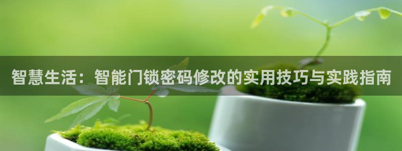 jdb电子游戏app：智慧生活：智能门锁密码修改的实用技巧与