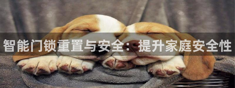 夺宝jdb电子变脸：智能门锁重置与安全：提升家庭安全性
