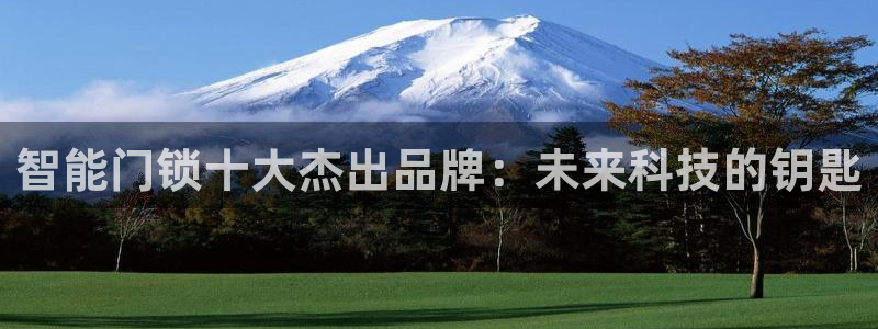 jdb电子游戏技巧：智能门锁十大杰出品牌：未来科技的钥匙