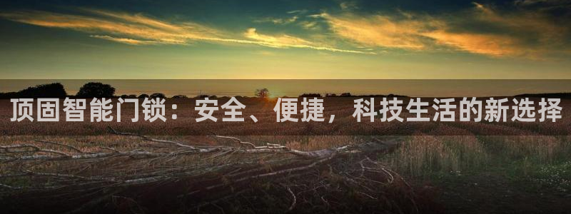 jdb游戏规律：顶固智能门锁：安全、便捷，科技生活的新选择