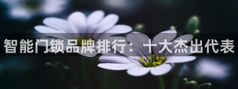 jdb电子游戏稳赚技巧：智能门锁品牌排行：十大杰出代表