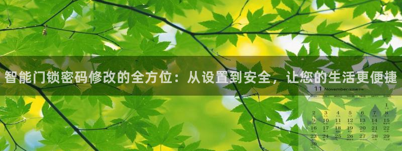 jdbc2.1.apk：智能门锁密码修改的全方位：从设置到安