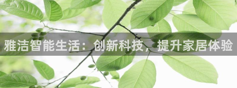 jdb变脸游戏规律：雅洁智能生活：创新科技，提升家居体验