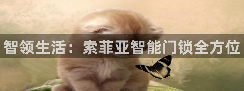 jdb电子试玩网页：智领生活：索菲亚智能门锁全方位