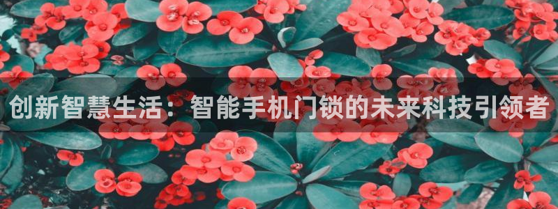 JDB电子维护：创新智慧生活：智能手机门锁的未来科技引领者